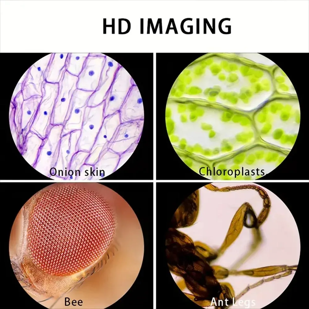 Pocket Microscope for Kids |   - Outdoor Adventure Microscope ulasan dan harga