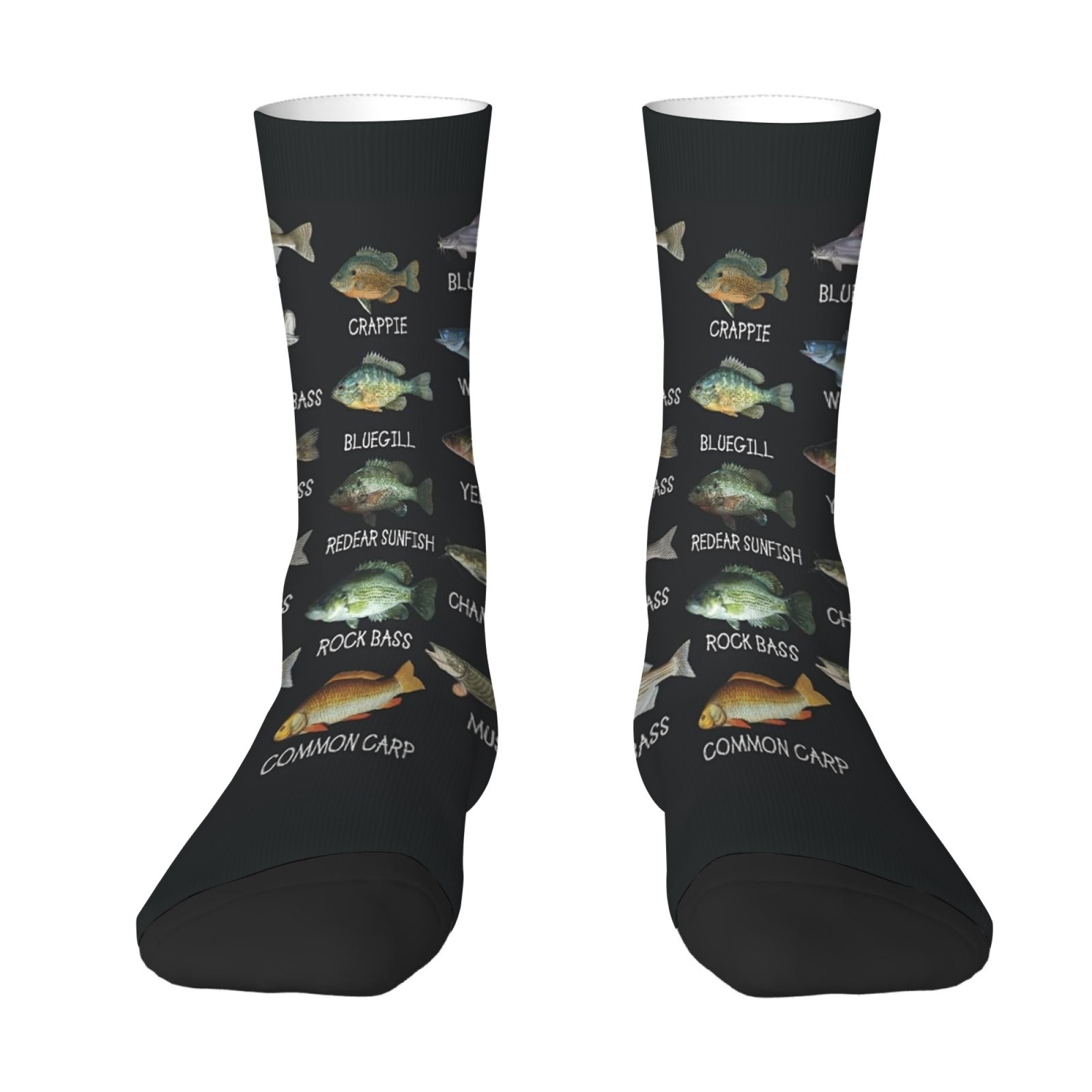 Freshwater Fish Illustration P - Outdoor Adventure Youtube ulasan dan harga