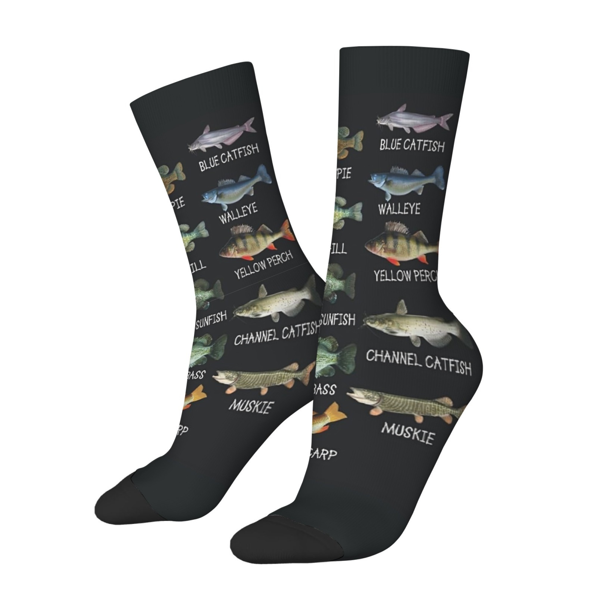 Freshwater Fish Illustration P - Outdoor Adventure Youtube ulasan dan harga